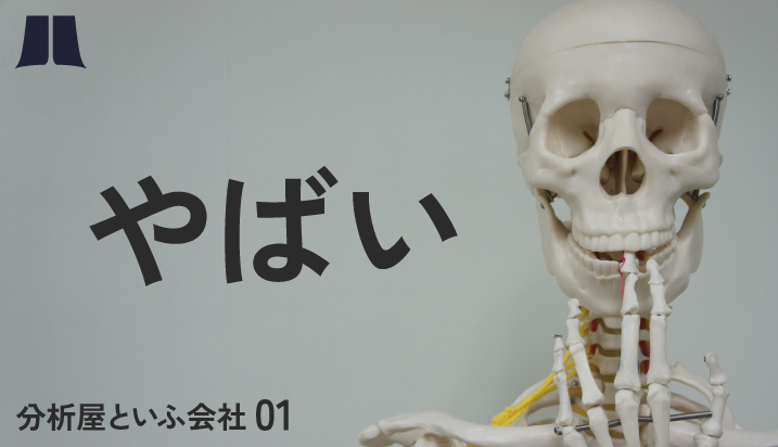 「分析屋って実際どうなの？」会社のこれまでといま